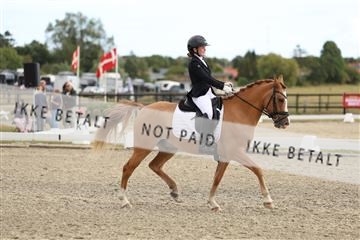 181894_mtp_03_R62_2437.JPG