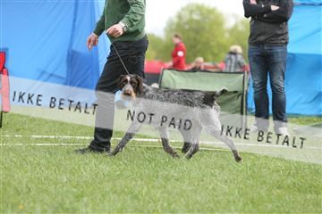 134871_ms_04_IMG_9884.JPG