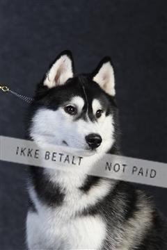 132082_le_ 01_IMG_0105.JPG