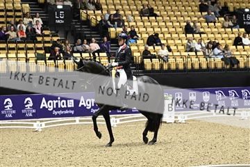 182194_kbb_03_Z090167.JPG