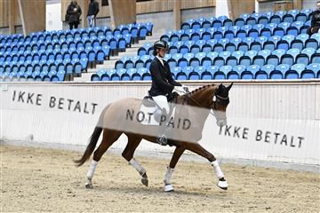 182241_kbb_01_Z093102.JPG