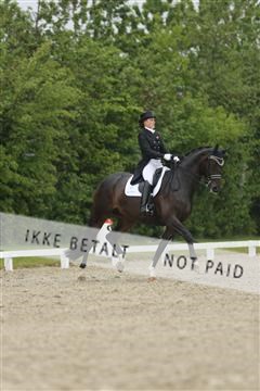 139835_sg_03_IMG_9010.JPG