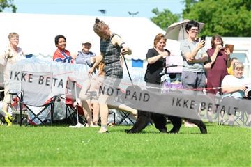 181564_rin_02_R62_2694.JPG