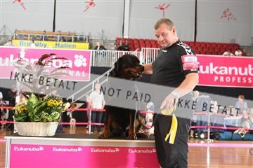 6068_ma_07_IMG_6937.JPG