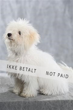 128239_le_kort_ 01_0354.JPG