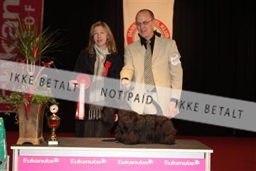 126827_tl_02_IMG_3084.JPG