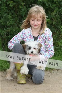 130370_se_01_IMG_5167.JPG