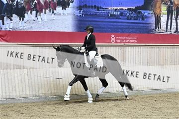 182241_kbb_01_Z095044.JPG