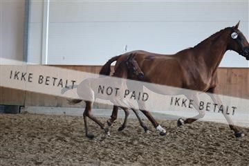 181756_mtp_03_R62_2870.JPG