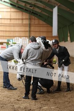 139265_kl_1_8M1Q6368.JPG