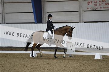 140040_abo_02__AB18827.JPG