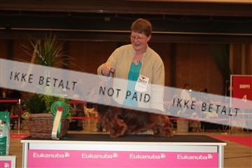 124188 _tl_02_IMG_9606.JPG