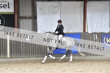 175222_tbj_01__D4S1480.JPG