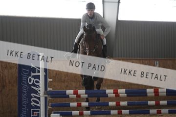 139206_kl_1_8M1Q5202.JPG