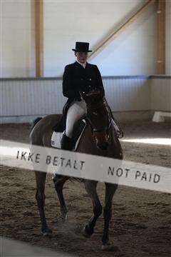 139267_kl_1_8M1Q6445.JPG