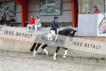 181867_mtp_02_R62_4764.JPG