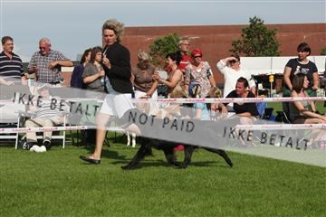 130370_se_02_IMG_6612.JPG