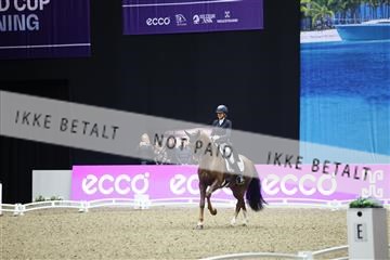 182194_mlm_01_R62_9992.JPG