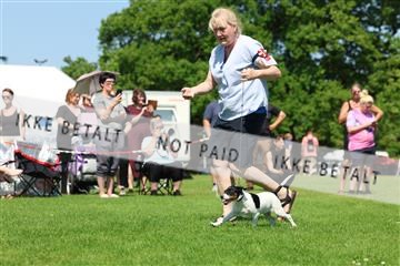181564_rin_02_R62_2720.JPG