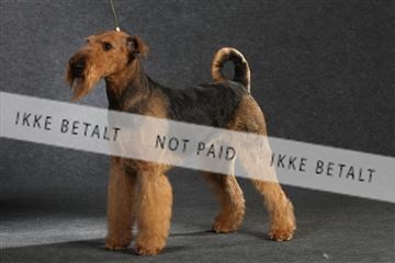 132082_le_ 01_IMG_0436.JPG