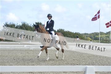 169624_kbb_01__KBB8626.JPG