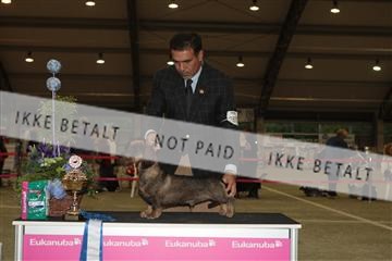 126168_se_02_IMG_0667.JPG