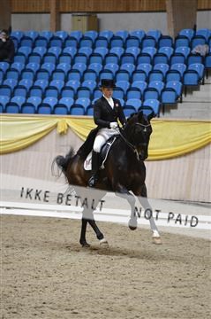 139403_ms_01__MS18571.JPG
