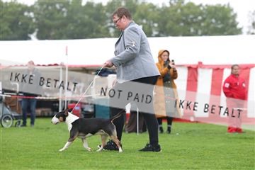 182009_rin_02_R62_1985.JPG