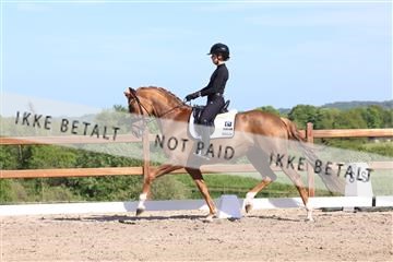 181449_bc_01R62_6032.JPG