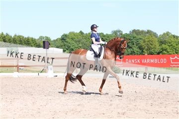 181449_bc_01R62_5844.JPG