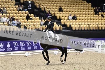 182194_kbb_03_Z099854.JPG
