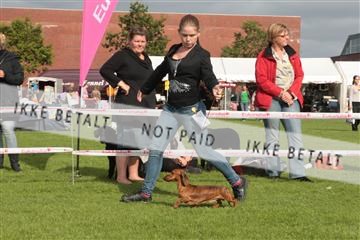 130370_tl_01_IMG_7503.JPG