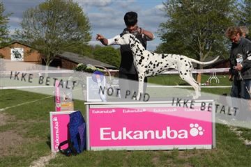 134871_ms_04_IMG_1854.JPG
