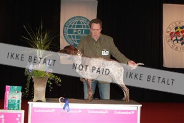 126827_tl_02_IMG_2976.JPG