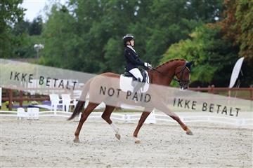 181923_mtp_01_R62_6437.JPG