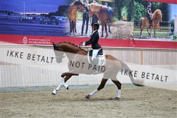 181887_mtp_05_R62_9746.JPG