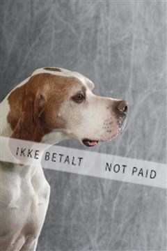 129608_le_ 02_0343.JPG