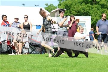181564_rin_02_R62_2691.JPG