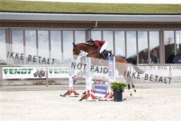 181922_avh_02_1350.JPG