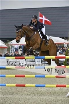 139644_abo_06__AB10195.JPG
