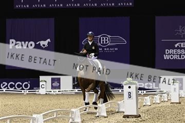 182194_kbb_03_Z090500.JPG