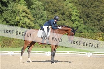 181957_mtp_01_3M5A7987.JPG