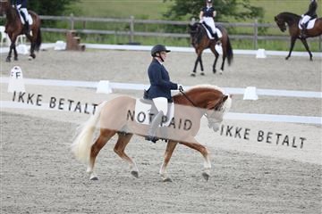 172030_mtp_01_3M5A1785.JPG