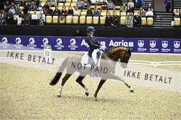 182194_kbb_02_Z099177.JPG