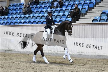 182241_kbb_01_Z093272.JPG
