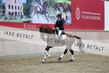 181887_mtp_02_R62_7764.JPG