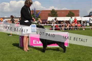130370_se_03_IMG_7853.JPG