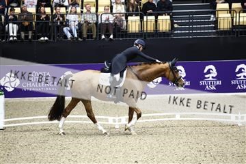 182194_avh_05_2957.JPG