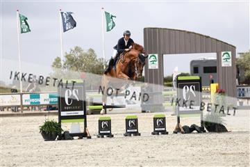 181922_avh_01_1208.JPG