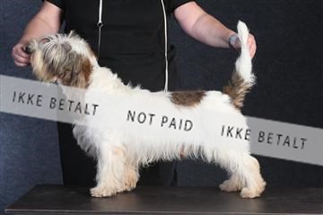 132082_le_ 01_IMG_0046.JPG